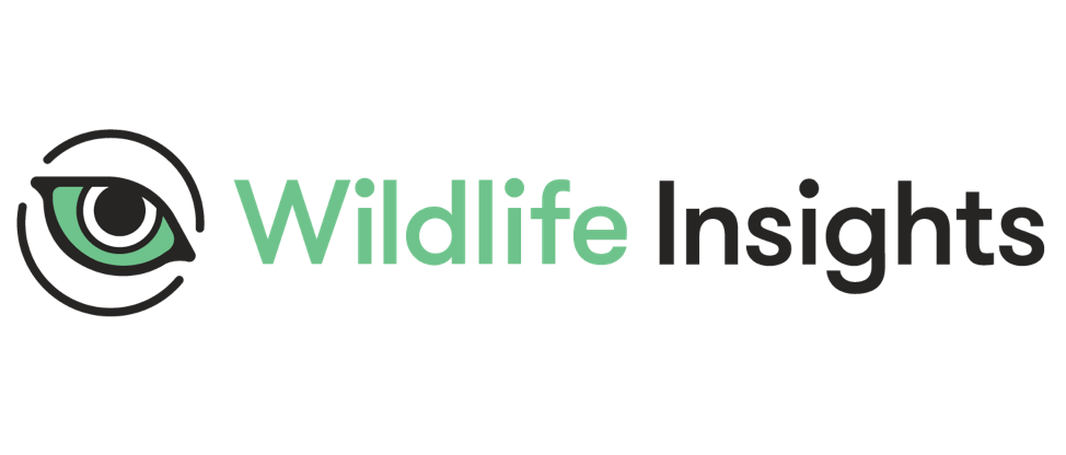 Google launches Wildlife Insights to help manage the world's wildlife