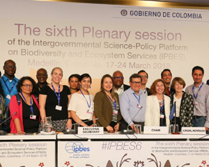 IPBES-6 Plenary