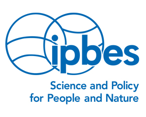 The contribution of GEO BON Ecosystems Services Workgroup to IPBES Global Assessment
