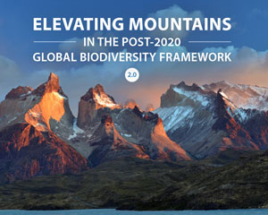 Policy Brief: Elevating Mountains in the Post-2020 Global Biodiversity Framework 2.0