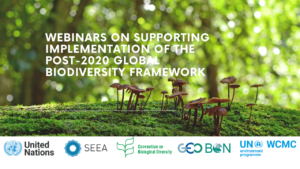 Flyer for Webinars on supporting Implementation of the post-2020 global biodiversity framework