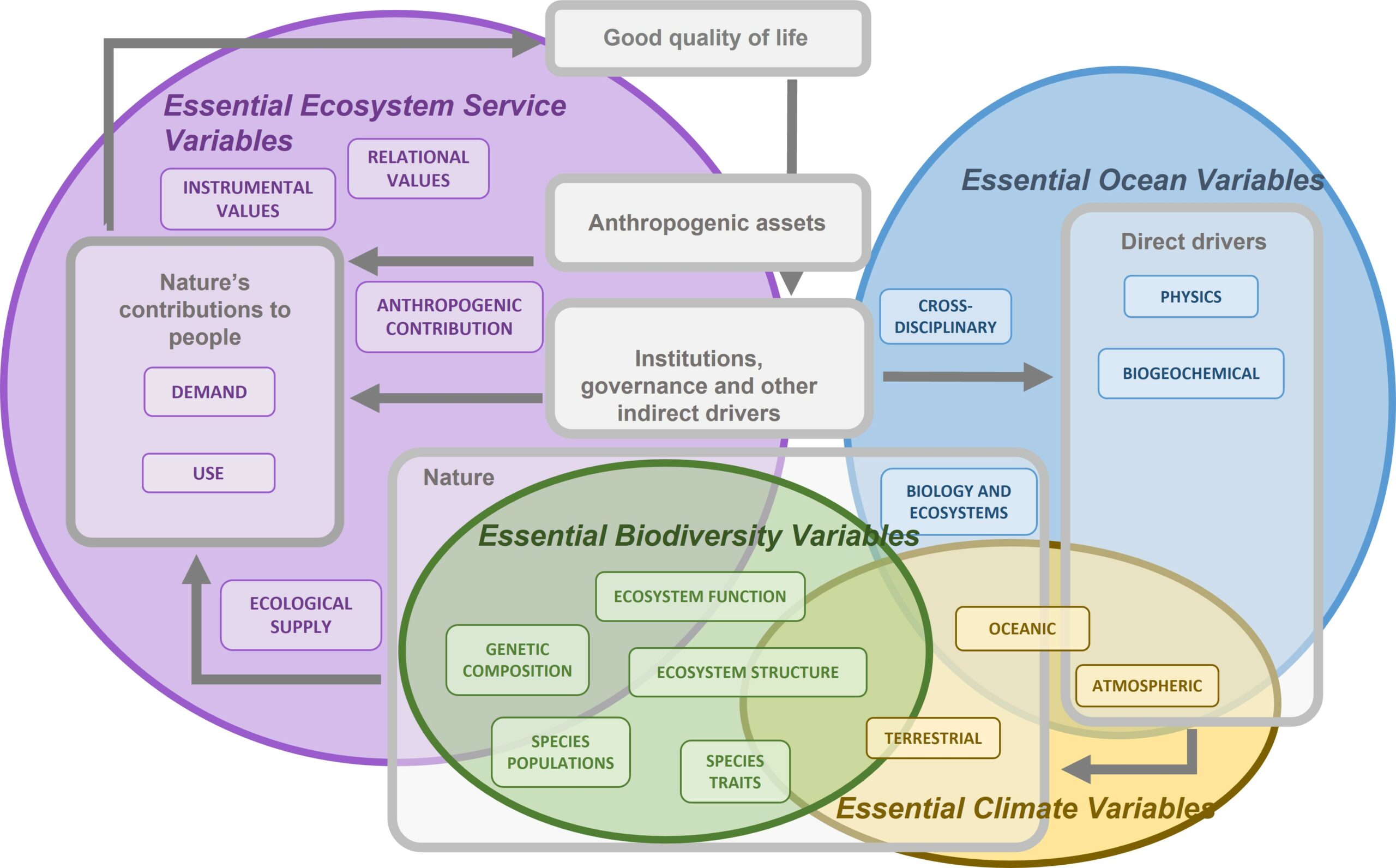 All In One Food Ecosystem Management