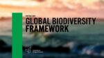 GEO BON contributes to an updated synthesis for the post-2020 global biodiversity framework