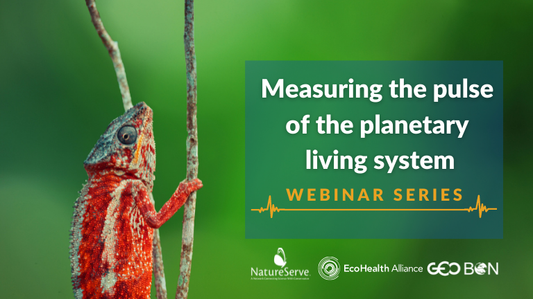 Measuring the pulse of the planetary living system webinar series