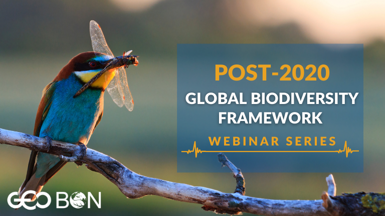 POST-2020 Global biodiversity framework webinar series