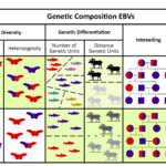 A new article lays out the state of the field for genetic EBVs and their use in conservation