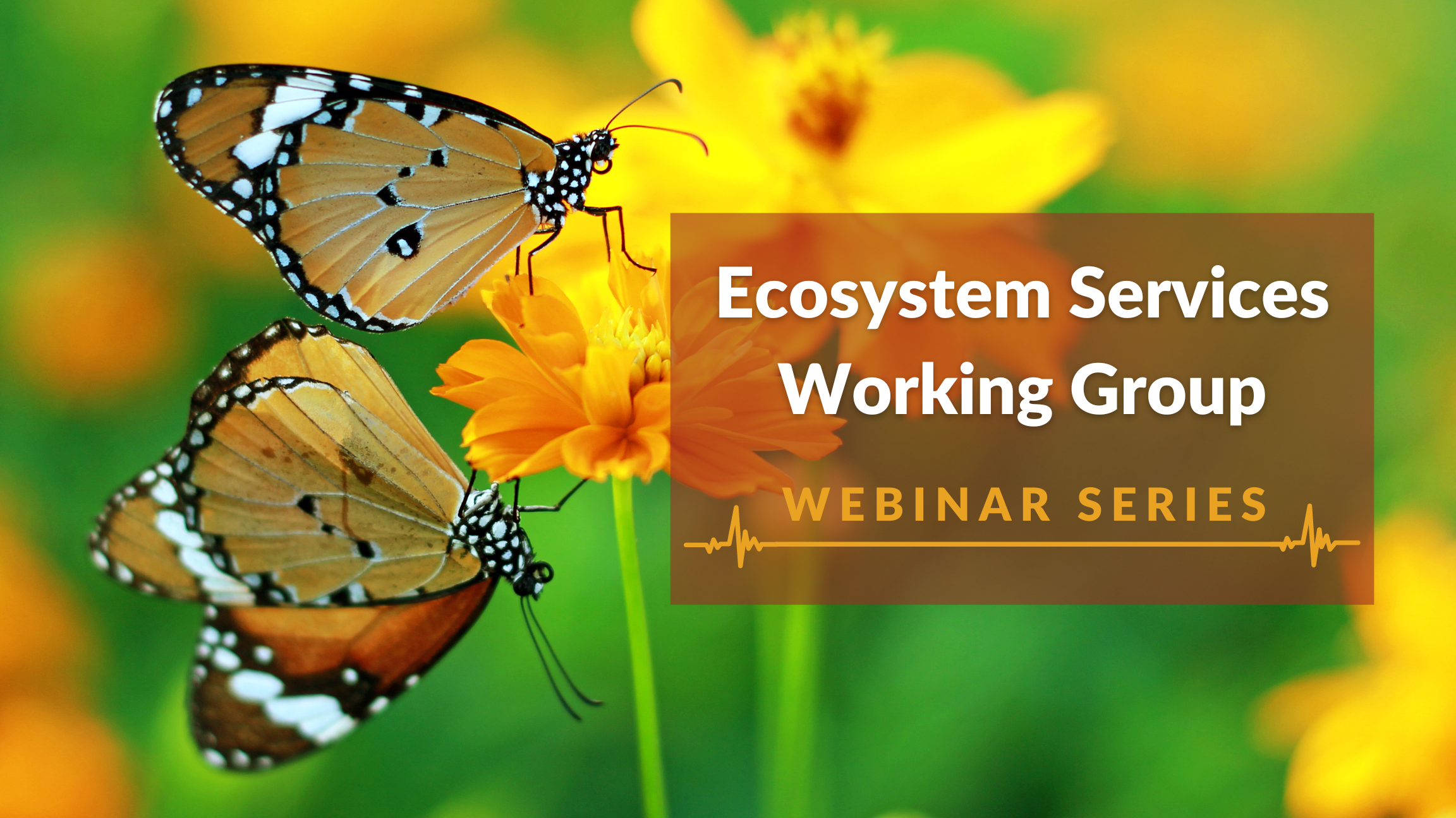 Ecosystem Services Working Group Webinar Series
