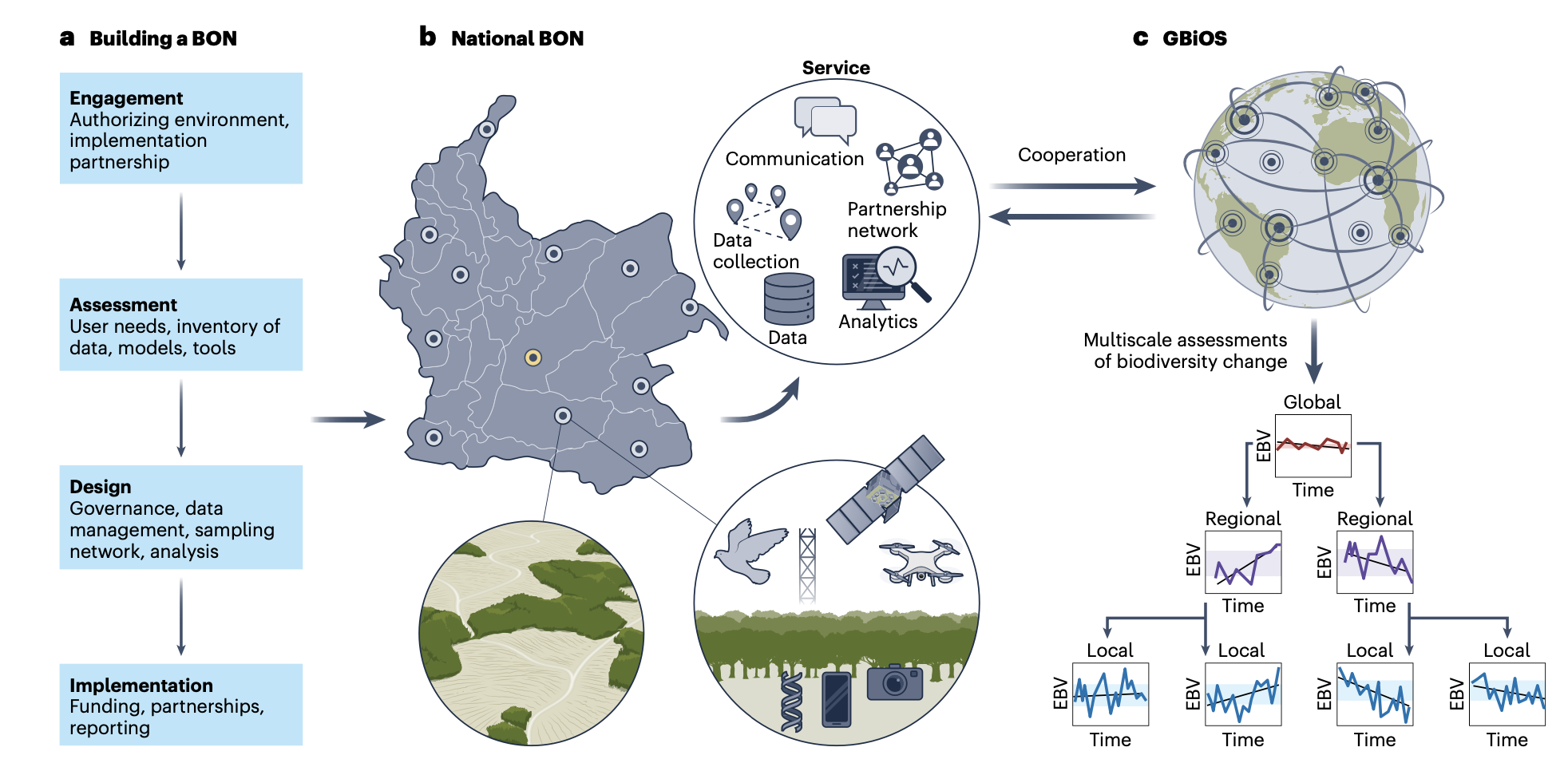 A global observatory to monitor Earth's biodiversity – GEO BON